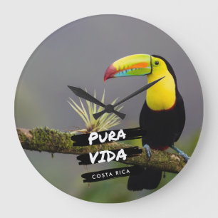 Costa Rica Pura Vida Toucan Photo Stor Klocka