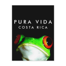 Costa Rica Pura Vida Träd Frog vykort
