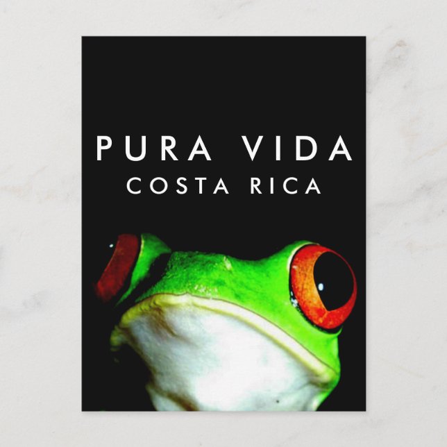 Costa Rica Pura Vida Träd Frog vykort (Framsida)