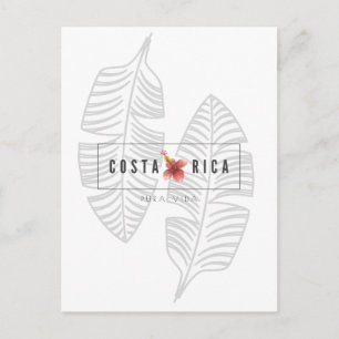 Costa Rica Pura Vida Tropical Löv vykort