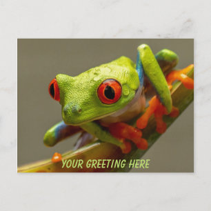 Costa Rica Red-Eyed Frog Personlig Vykort