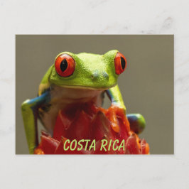 Costa Rica Red-Eyed Träd Frog Souvenir Vykort