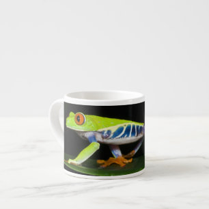 Costa Rica, Rödögd lövgroda (Agalychnis Espressomugg