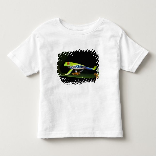 Costa Rica, rödögd Träd Frog (Agalychnis) T-shirt (Framsida)