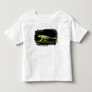 Costa Rica, Rödögd Trädgrodor (Agalychnis T-shirt