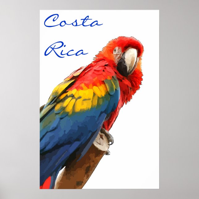 Costa Rica Scarlet Macaw Poster (Framsidan)