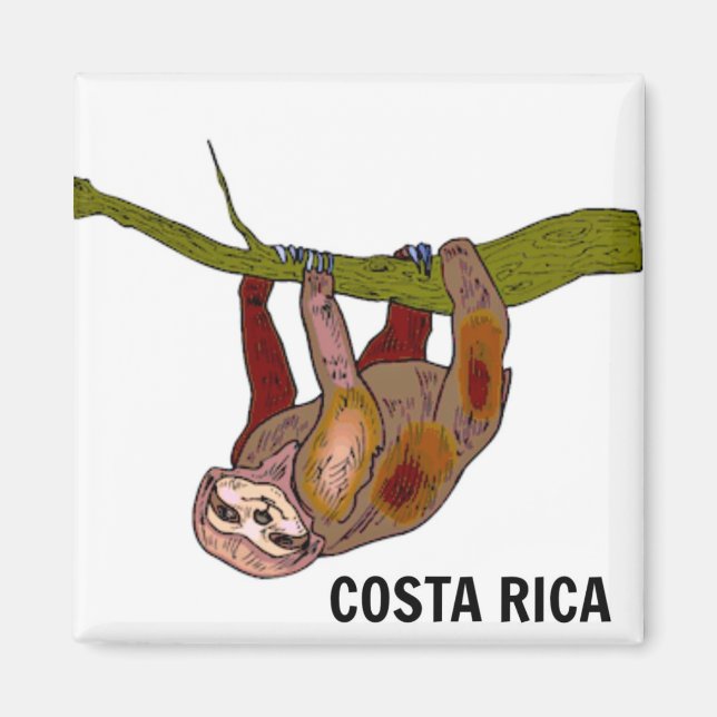 Costa Rica Sloth Magnet (Framsidan)