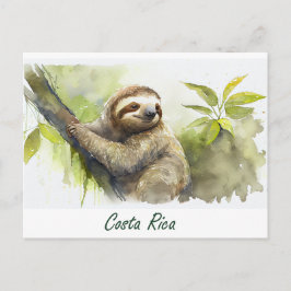 Costa Rica Sloth Vykort