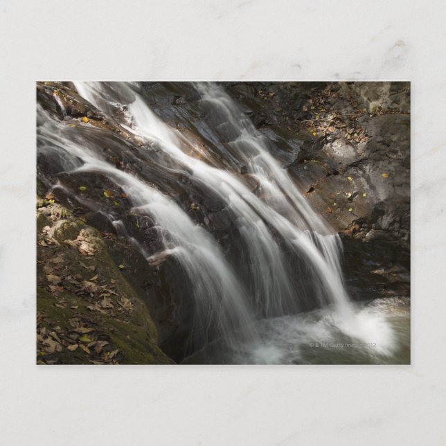 Costa Rica, Snabbt forsande vattenfall Vykort (Framsida)