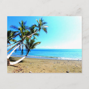Costa Rica, strand med handflatan träd Vykort