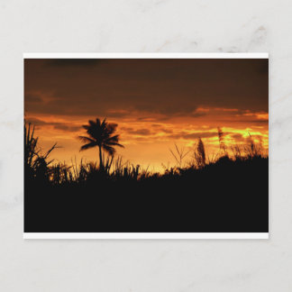 Costa Rica Sunset Vykort
