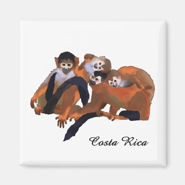 Costa Rica Titi Monkey Magnet (Framsidan)