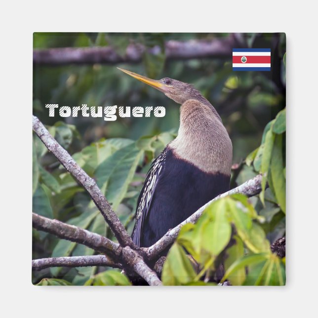 Costa Rica, Tortuguero - Anhinga Magnet (Framsidan)