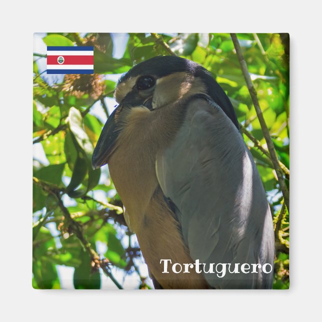 Costa Rica, Tortuguero - Boat billed Heron Magnet (Framsidan)