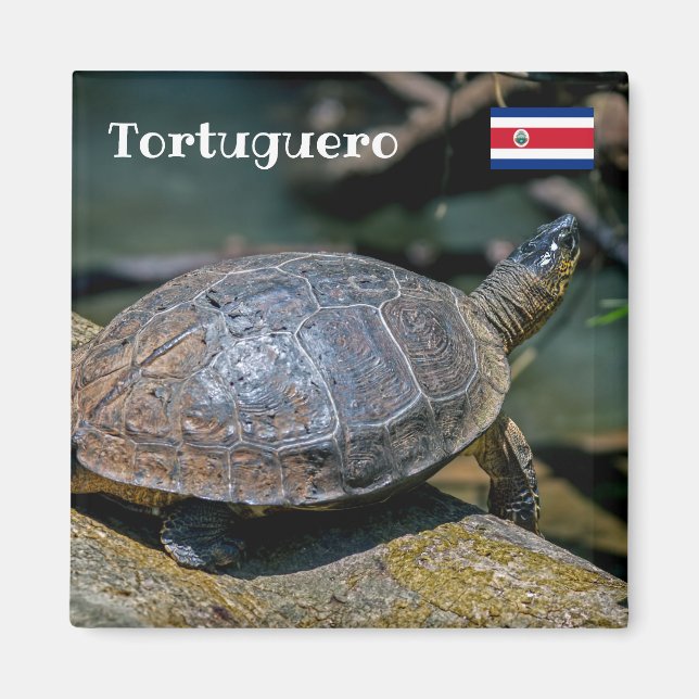 Costa Rica, Tortuguero - floden Turtle Magnet (Framsidan)