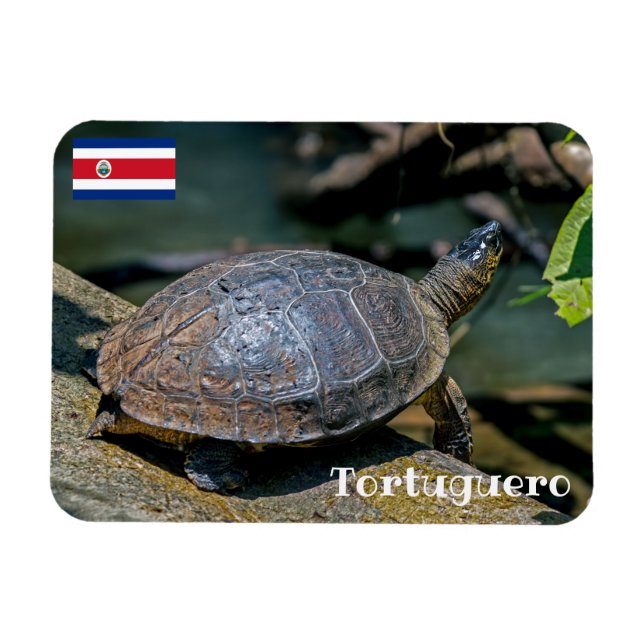 Costa Rica, Tortuguero - floden Turtle Magnet (Horisontell)