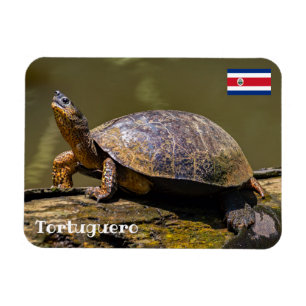Costa Rica, Tortuguero - floden Turtle Magnet