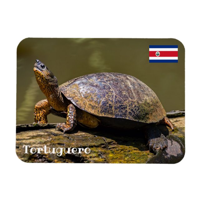 Costa Rica, Tortuguero - floden Turtle Magnet (Horisontell)