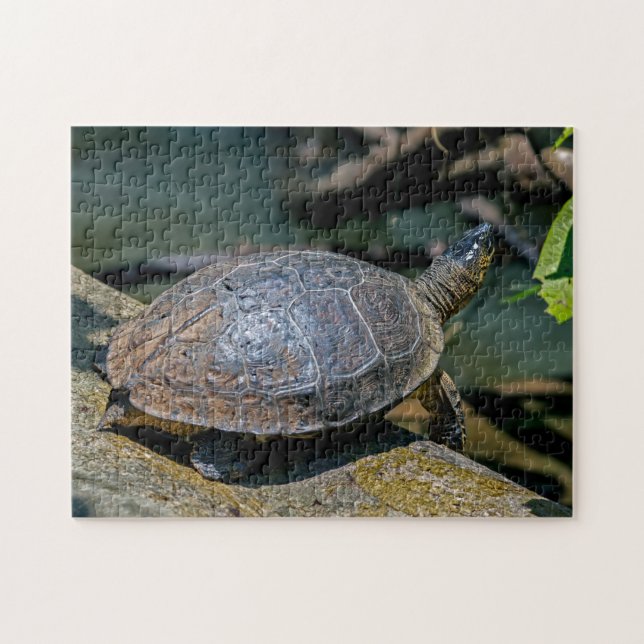Costa Rica, Tortuguero - floden Turtle Pussel (Horisontell)