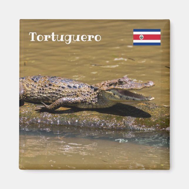 Costa Rica, Tortuguero - Sfräsning krokodil Magnet (Framsidan)