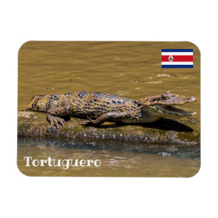 Costa Rica, Tortuguero - Sfräsning krokodil Magnet