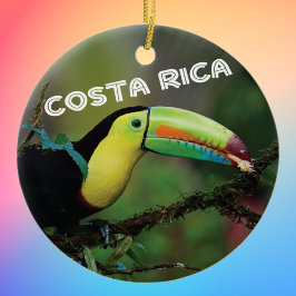 Costa Rica Toucan Julgransprydnad Keramik