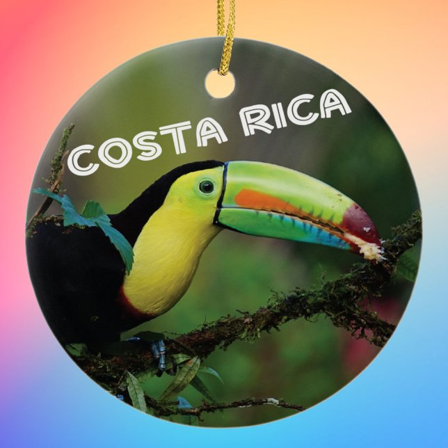 Costa Rica Toucan Julgransprydnad Keramik (Skapare uppladdad)
