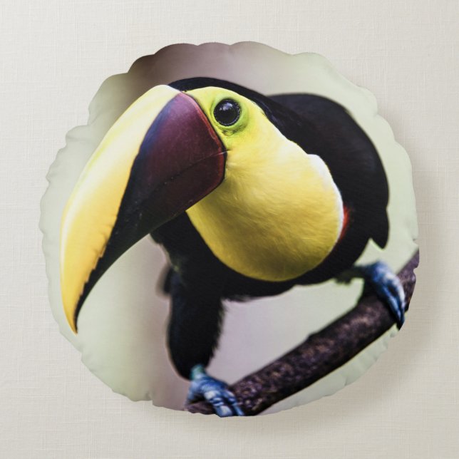 Costa Rica Toucan Rund Kudde (Framsidan)