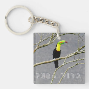 Costa Rica Toucan Souvenir