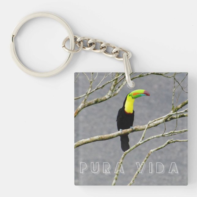Costa Rica Toucan Souvenir  (Framsidan)
