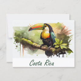 Costa Rica Toucan Vykort