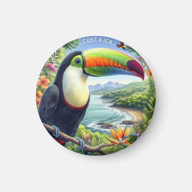 Costa Rica Toucans, Pura Vida Magnet (Framsidan)