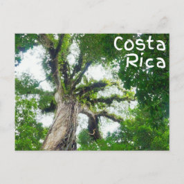 Costa Rica Träd fotokort Vykort