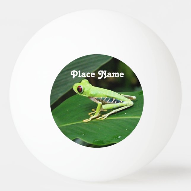 Costa Rica trädgroda Pingisboll (Framsidan)