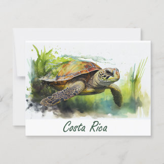 Costa Rica Turtle Vykort