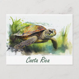Costa Rica Turtle Vykort