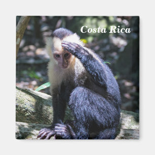 Costa Rica - Vit kapuchinapa Magnet