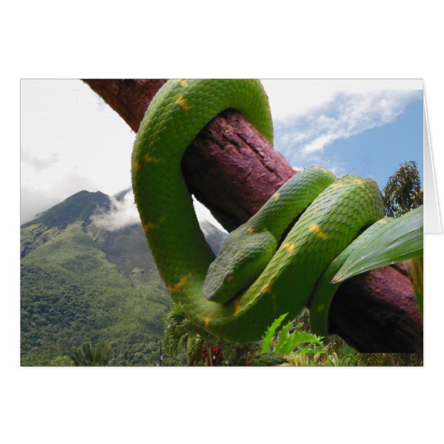 Costa Rica Volcano och Snake Hälsningskort (Framsidan Horizontal)