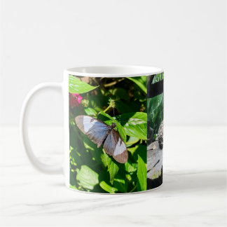 Costa Rica Wildlife Waterfall Mugg