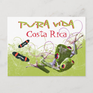 Costa Rican Pura Vida Träd Frog vykort