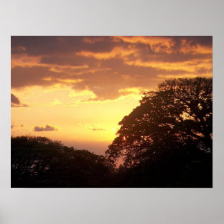 Costa Rican Sunset II Poster