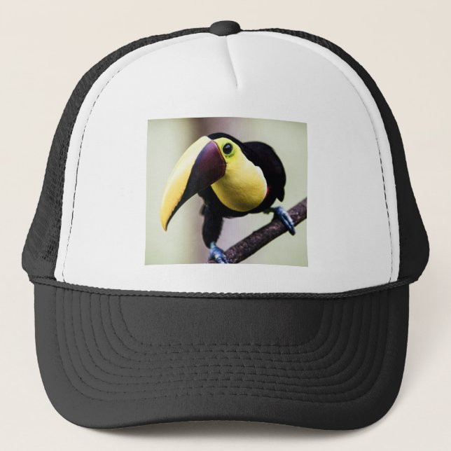 Costa Ricas Toucan Keps (Framsida)