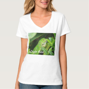 Costarikansk ödla tee