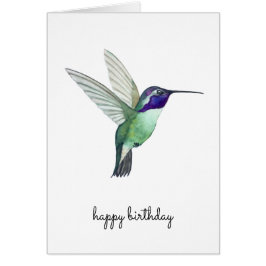 Costa's Hummingbird Birthday Card Hälsningskort