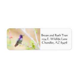 Costas hummingbird bland bladverk returadress etikett