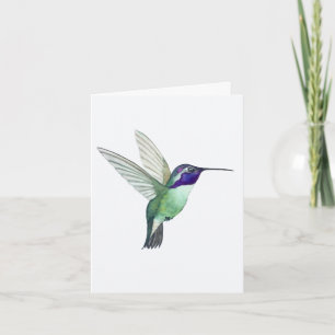 Costa's Hummingbird Greeting Card Kort