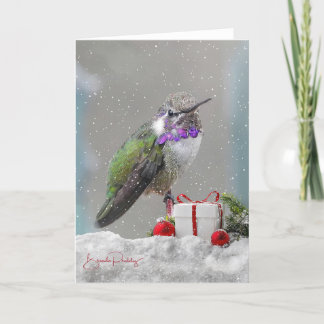 Costa's Hummingbird & Helgdag! Tomt kort