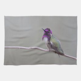 Costas hummingbird kökshandduk