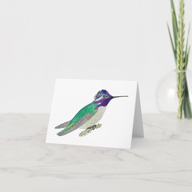Costas Hummingbird Kort (Framsida)