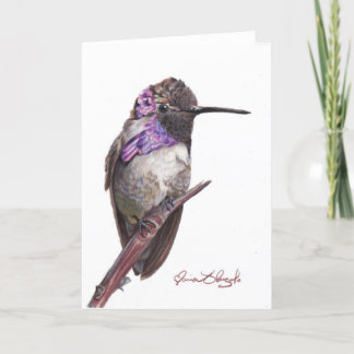 Costa's Hummingbird Note Card Tack Kort